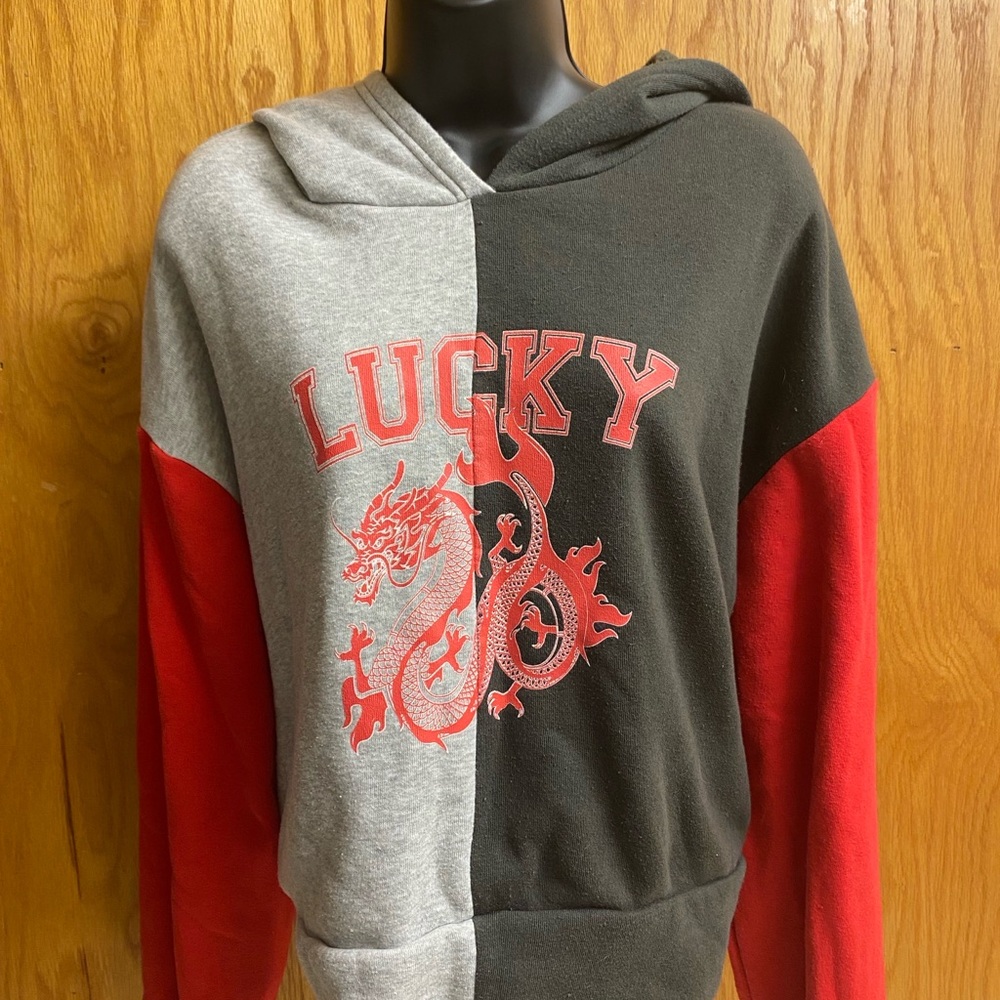 Lucky Dragon Color Block Cropped Hoodie